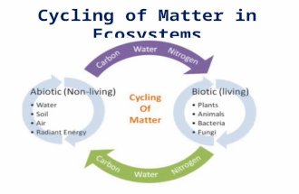 Cycling of Matter in Ecosystems. Recycling Matter All life on Earth requires water and nutrients These particles of matter don’t remain in your body forever.