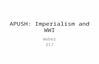 APUSH: Imperialism and WWI Weber 217. Activator Ch. 19 Reading Test – 10 multiple choice, 5 short answer – 15 minutes – Good luck!