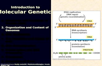 1.Structures and Functions of Nucleic Acids 2.Organization and Content of Genomes 3.DNA Replication 4.The Mutability and Repair of DNA 5.DNA Recombination.