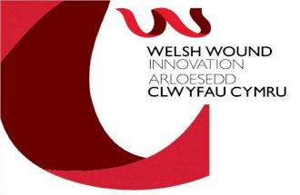 “Health & Wealth for Wales” “Health & Wealth For Wales”