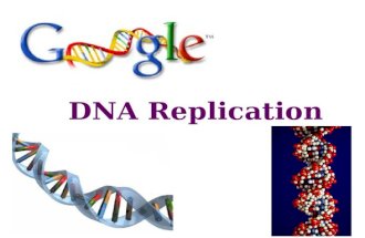 2007-2008 DNA Replication Double helix structure of DNA “It has not escaped our notice that the specific pairing we have postulated immediately suggests.