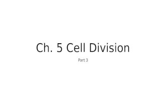 Ch. 5 Cell Division Part 3. Mitosis vs. Meiosis  Mitosis  Results in the production of two genetically identical DIPLOID cells  Daughter cells have.