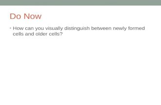 Do Now How can you visually distinguish between newly formed cells and older cells?