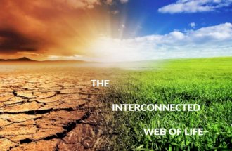 THE INTERCONNECTED WEB OF LIFE. WE LIVE IN THIS AMAZING INTERCONNECTED, INTERDEPENDENT WEB OF LIFE….
