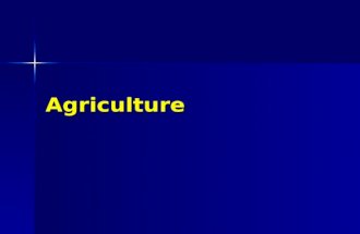 Agriculture. Classifying Economic Activity Primary Primary –concerned with extracting something from the Earth Secondary Secondary –concerned with the.