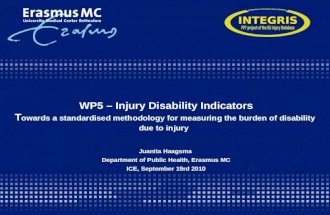WP5 – Injury Disability Indicators T owards a standardised methodology for measuring the burden of disability due to injury Juanita Haagsma Department.