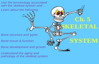 Ch. 5 SKELETAL SYSTEM Use the terminology associated with the skeletal system and … Learn about the following: Bone structure and types Bone tissue & function.