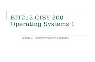 BIT213,CISY 300 - Operating Systems 1 Lecture 2 - Operating System Structures.
