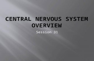 Session 31.  Recognize the major divisions of the nervous system  Describe how the CNS controls sensation, musculature, and other body systems  Describe.