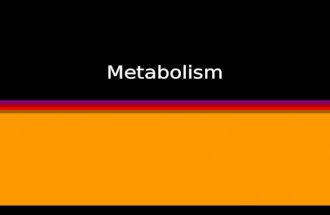 Metabolism. Chapter 5 Metabolism Metabolism = Anabolism + Catabolism Photosynthesis requires Respiration Respiration requires Photosynthesis Energy Production.