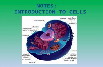 NOTES – CELL DISCOVERY History of Cells Robert Hooke: uses microscope to look at cork - called the chambers he saw “cells” Anton van Leeuwenhoek: first.