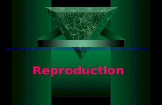 Reproduction. Human Reproduction Puberty Rules during presentation The students should keep a journal. When you see this symbol students should use their.