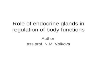 Role of endocrine glands in regulation of body functions Author ass.prof. N.M. Volkova.