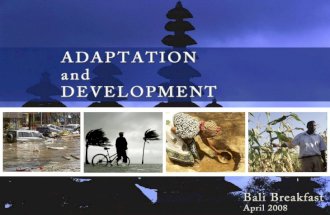 Climate Adaptation and Development Bali Breakfast/Development Committee Series April 13, 2008 Washington, DC.