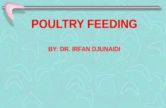 POULTRY FEEDING BY: DR. IRFAN DJUNAIDI POULTRY FEEDING Facts should be considered when computing ration for poultry: 1-Feed must contain all essential.