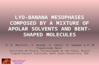 Complex Fluids Group University of São Paulo, Brazil LYO-BANANA MESOPHASES COMPOSED BY A MIXTURE OF APOLAR SOLVENTS AND BENT- SHAPED MOLECULES O. G. Martins.