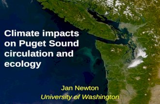 Climate impacts on Puget Sound circulation and ecology Jan Newton University of Washington.