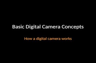 Basic Digital Camera Concepts How a digital camera works.
