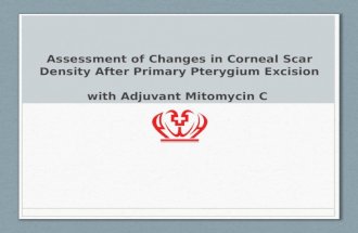 Assessment of Changes in Corneal Scar Density After Primary Pterygium Excision with Adjuvant Mitomycin C.