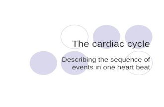 The cardiac cycle Describing the sequence of events in one heart beat.