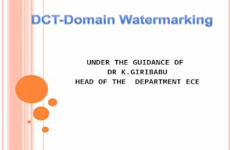 DCT Domain Watermarking