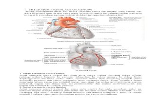 Pbl Skenario 2 Kardiovaskuler