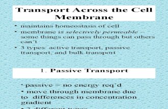 Types of Transport