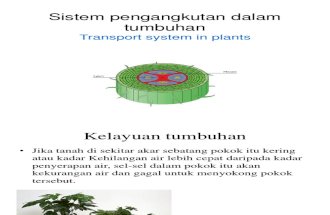2.3 Sistem Pengangkutan Dalam Tumbuhan