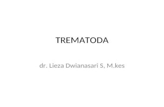 Trematoda New