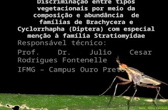 Discriminação entre tipos vegetacionais por meio da composição e abundância de famílias de Brachycera e Cyclorrhapha (Diptera) com especial menção à família.