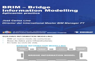 BRIM-–-Bridge-Information-Modelling.pdf