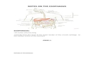 Notes on the Esophagus(Dec _15)