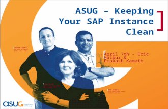 ASUG 2011 Presentation -- Keep Your SAP System Clean