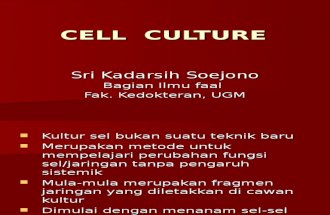 Kursus Cell Culture