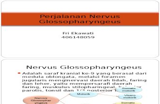 Perjalanan Nervus Glossopharyngeus Dan Vagus