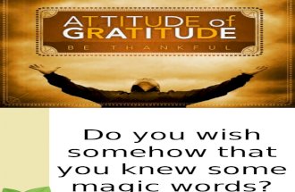 Grattitude Changes Attitude