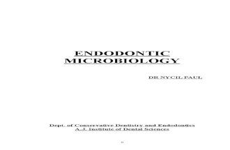 Endodontic Surgeries