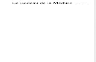 Le Radeau de La Meduse - Gericault