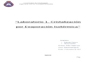 Informe Laboratorio Cristalización2