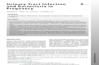 Urinary Tract Infection and Bacteriuria in Pregnancy