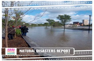 Natural Disasters Report 2015