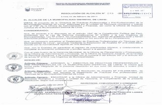 Resolución municipal practicas preprofesionales Lince Lima Perú