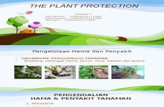 The Plant Protection