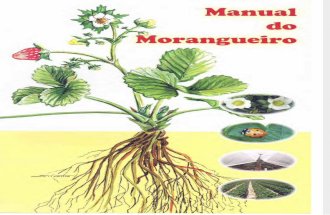 manual_do_morangueiro1_1369212769.pdf