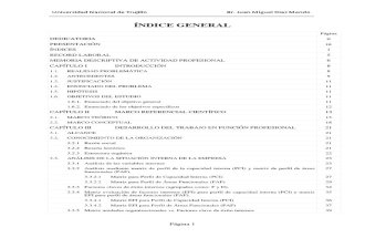 Informe Titulacion 2011-02-03 - PARTE II.pdf