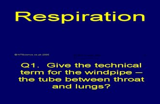8b Respiration Science Quiz