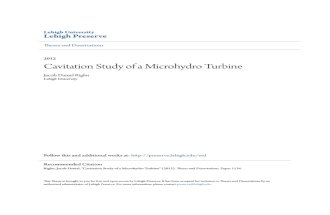 Cavitation Study of a Microhydro Turbine