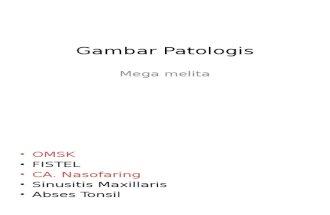 Gambar Patologis MEGA