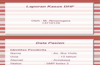 PPT DHF II
