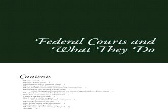the federal courts what they do